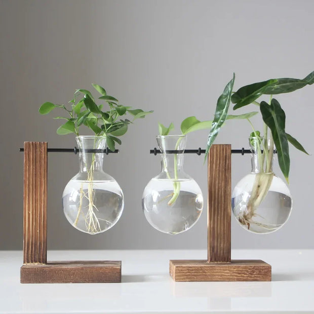 Terrarium Plant Vases Hydroponic Glass Flower Pot Transparent