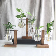 Terrarium Plant Vases Hydroponic Glass Flower Pot Transparent