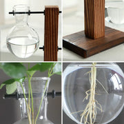 Terrarium Plant Vases Hydroponic Glass Flower Pot Transparent