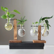 Terrarium Plant Vases Hydroponic Glass Flower Pot Transparent