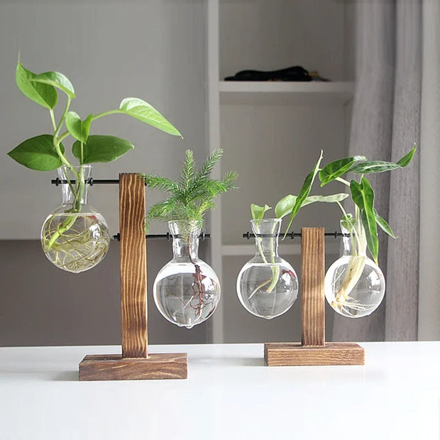 Terrarium Plant Vases Hydroponic Glass Flower Pot Transparent